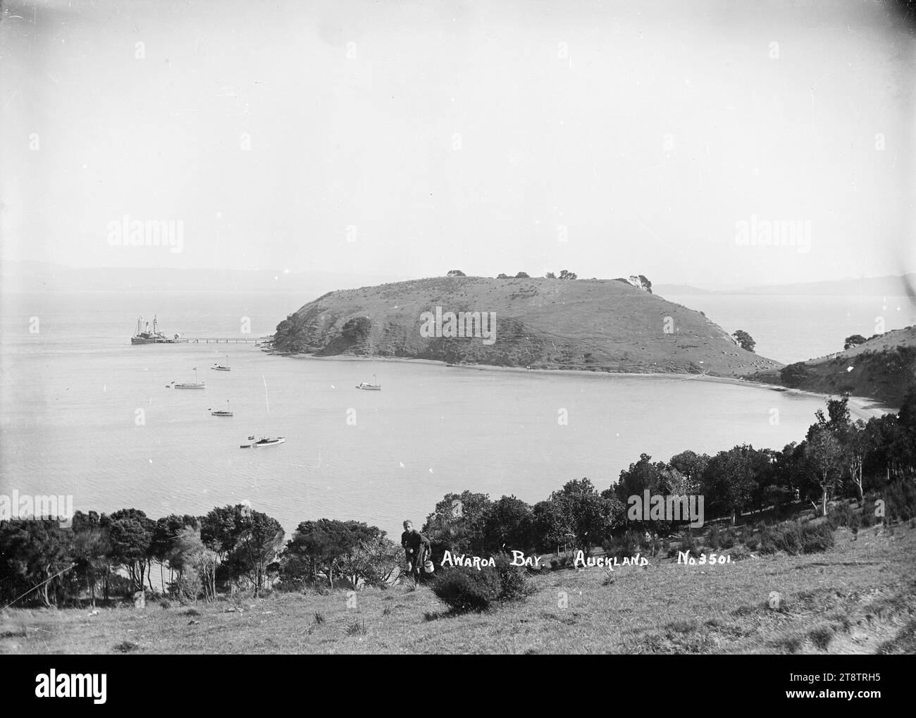 Vue sur le promontoire et le quai, Awaawaroa Bay, Waiheke Island, vue vue sur la baie Awaawaroa en direction du promontoire (le site d'un ancien pa maori). Un ferry est attaché au quai Awaawaroa sur le promontoire. Les yachts sont amarrés dans la baie. Un garçon avec un billy à la main peut être vu au premier plan marchant sur la colline vers la caméra. Photographié au début des années 1900 Banque D'Images