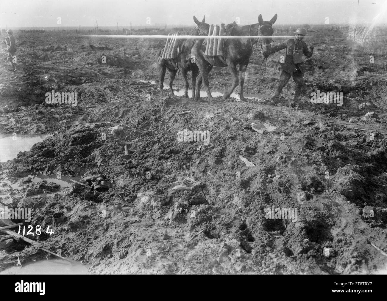 Soldat menant des mules chargées de munitions à travers la boue, Kansas Farm, France, Soldat menant des mules chargées de munitions à travers la boue à Kansas Farm, France, pendant la première Guerre mondiale Photographie prise vers le 13 octobre 1917 Banque D'Images