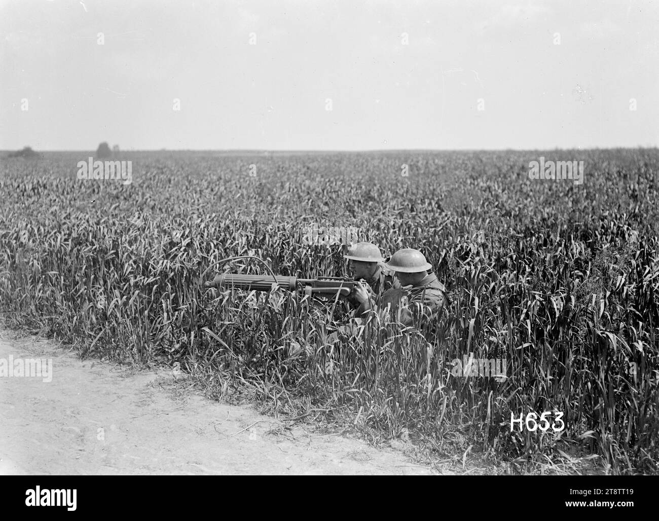 Une mitrailleuse dans un champ de culture de maïs pendant la première Guerre mondiale, Colincamps, Une mitrailleuse néo-zélandaise placée sur le bord d'un champ de maïs près de Colincamps, en France pendant la première Guerre mondiale Deux artilleurs pilotés sont assis devant l'arme juste visible au-dessus du maïs. Les mains d'un soldat sont sur l'arme. Photographie prise le 1 juin 1918 Banque D'Images