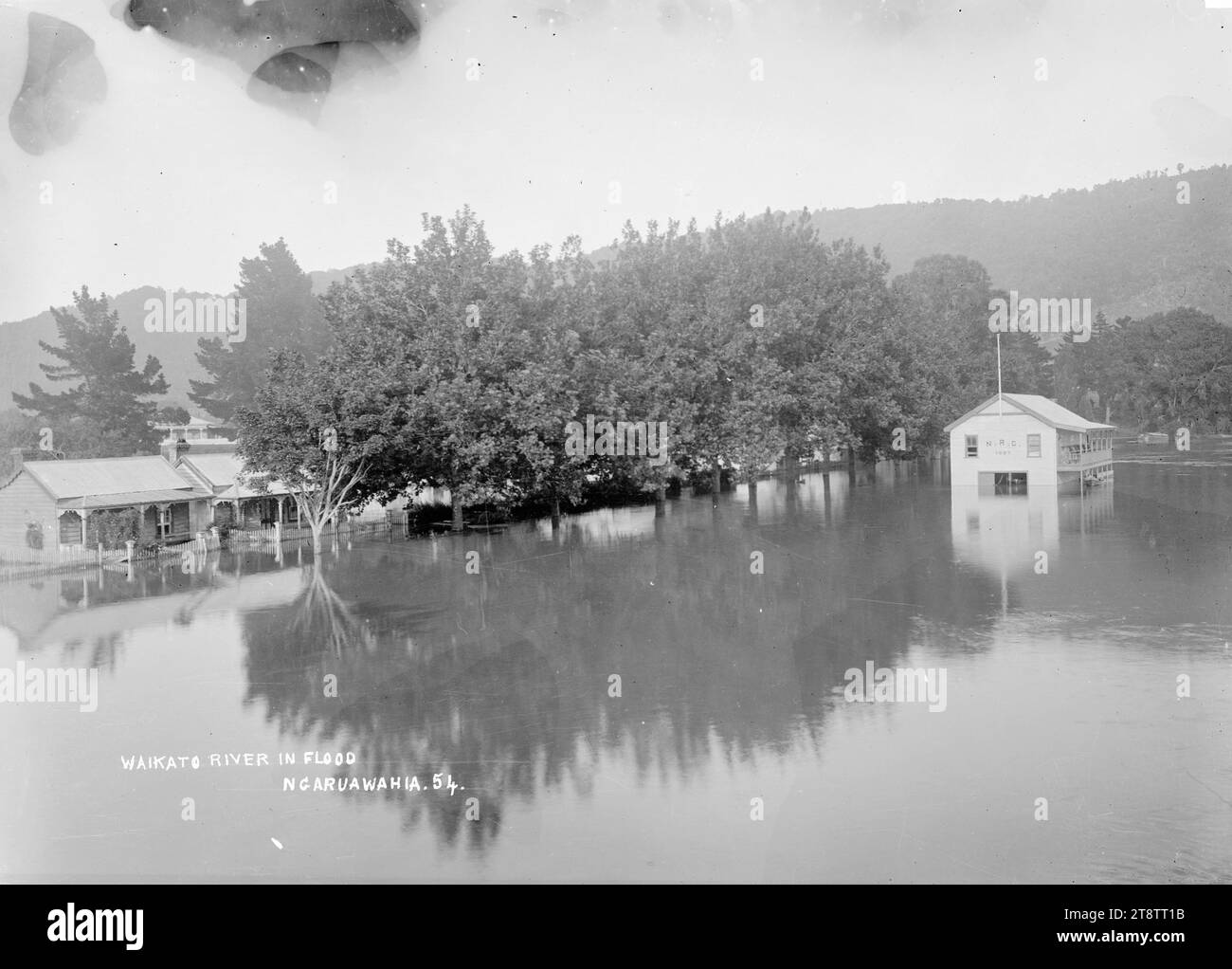 Rivière Waikato en inondation, à Ngaruawahia, Nouvelle-Zélande, vers 1910, vue de la rivière Waikato en inondation le long de l'esplanade Waikato, avec des maisons visibles derrière une rangée d'arbres, et le Ngaruawahia, New Zealand Rowing Club bâtiment partiellement inondé Banque D'Images