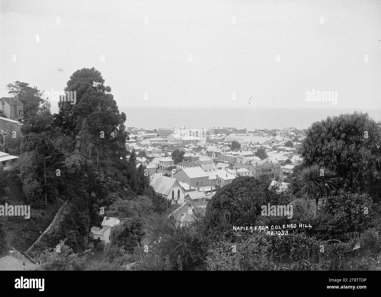 Vue sur Napier depuis Colenso Hill, vue sur Napier depuis Colenso Hill, vue sur les arbres au-dessus de la ville, vers le port. circa années 1900 Banque D'Images