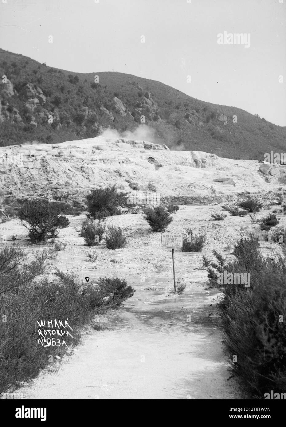 Cone of Waikite Geyser à Whakarewarewa, Nouvelle-Zélande, Cone of Waikite Geyser à Whakarewarewa, Nouvelle-Zélande, prise au début des années 1900. Il y a un chemin au premier plan immédiat et un panneau avertissant les visiteurs de se tenir à l'écart de la formation de la terrasse Banque D'Images