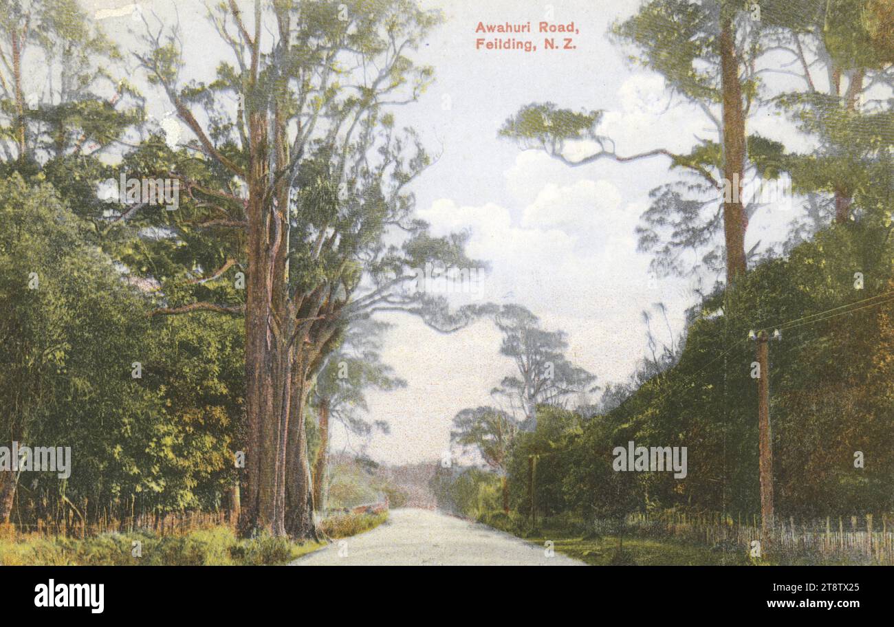 Carte postale. Awahuri Road, Feilding, N.Z. Dominion de Nouvelle-Zélande. Carte postale Industria (carte postale). Imprimé en Allemagne. Protégé n° 1696 1909, Postcard montre une vue en couleur le long d'une route de campagne, avec des arbres et des clôtures des deux côtés, et des poteaux télégraphiques sur le côté droit Banque D'Images