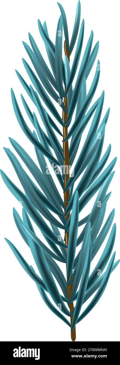 Elément de branche de sapin de noël bleu. Illustration vectorielle. Illustration de Vecteur