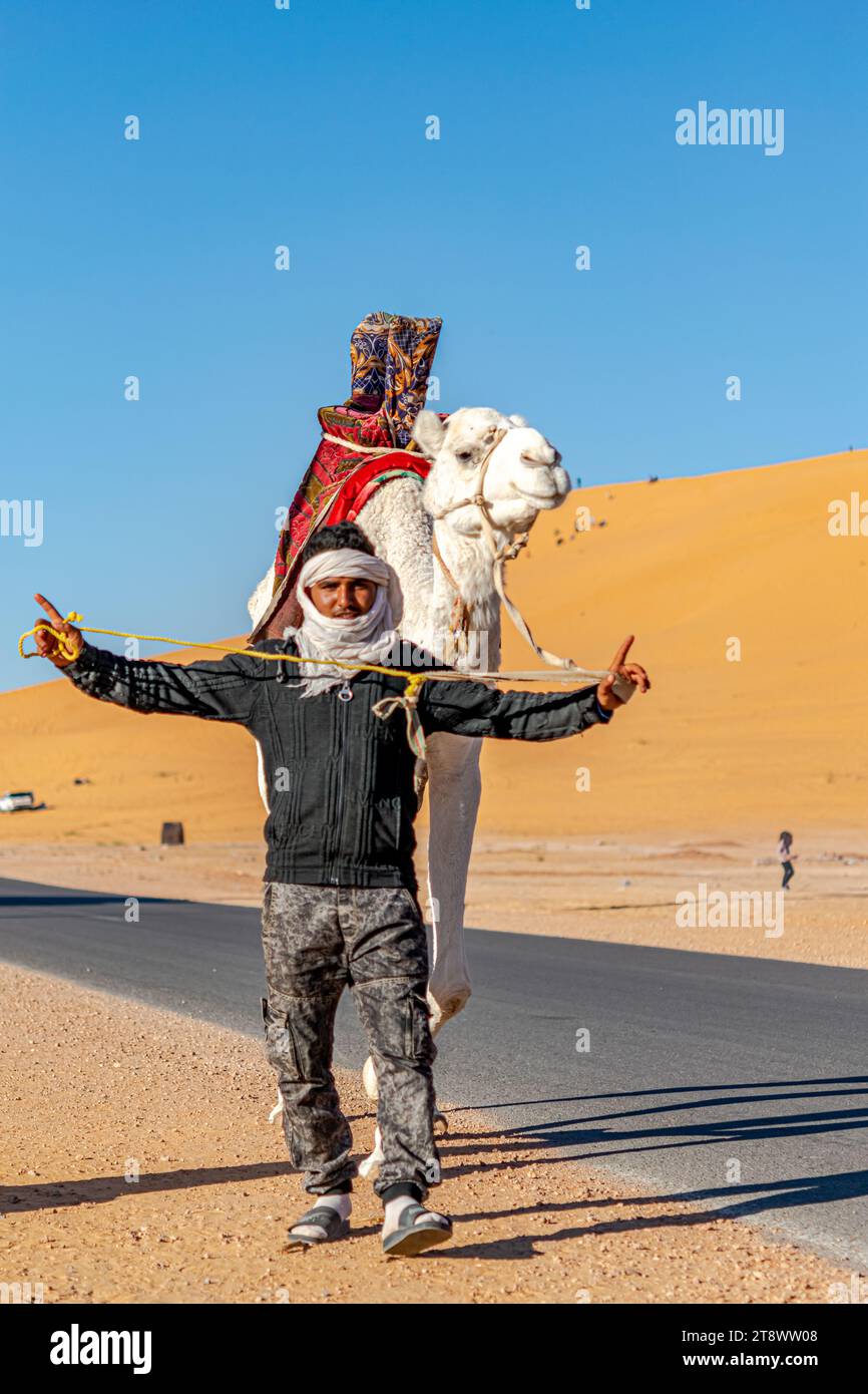 Saoura, Algérie - 28 décembre 2022 : un touareg local marchant et posant avec son dromadaire blanc décoré d'une selle en tissu rouge dans le désert du Sahara avec des dunes de sable et un ciel bleu en arrière-plan. Banque D'Images