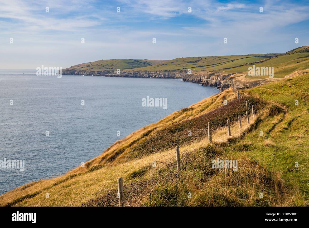 Vers St Aldhelm's Head sur la côte Jurrasic du Dorset, Angleterre Banque D'Images