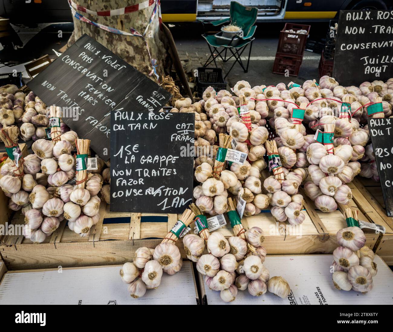 Arles, France, 9 septembre 2023, vue de quelques bouquets d'ail sur un étal d'un marché provençal Banque D'Images