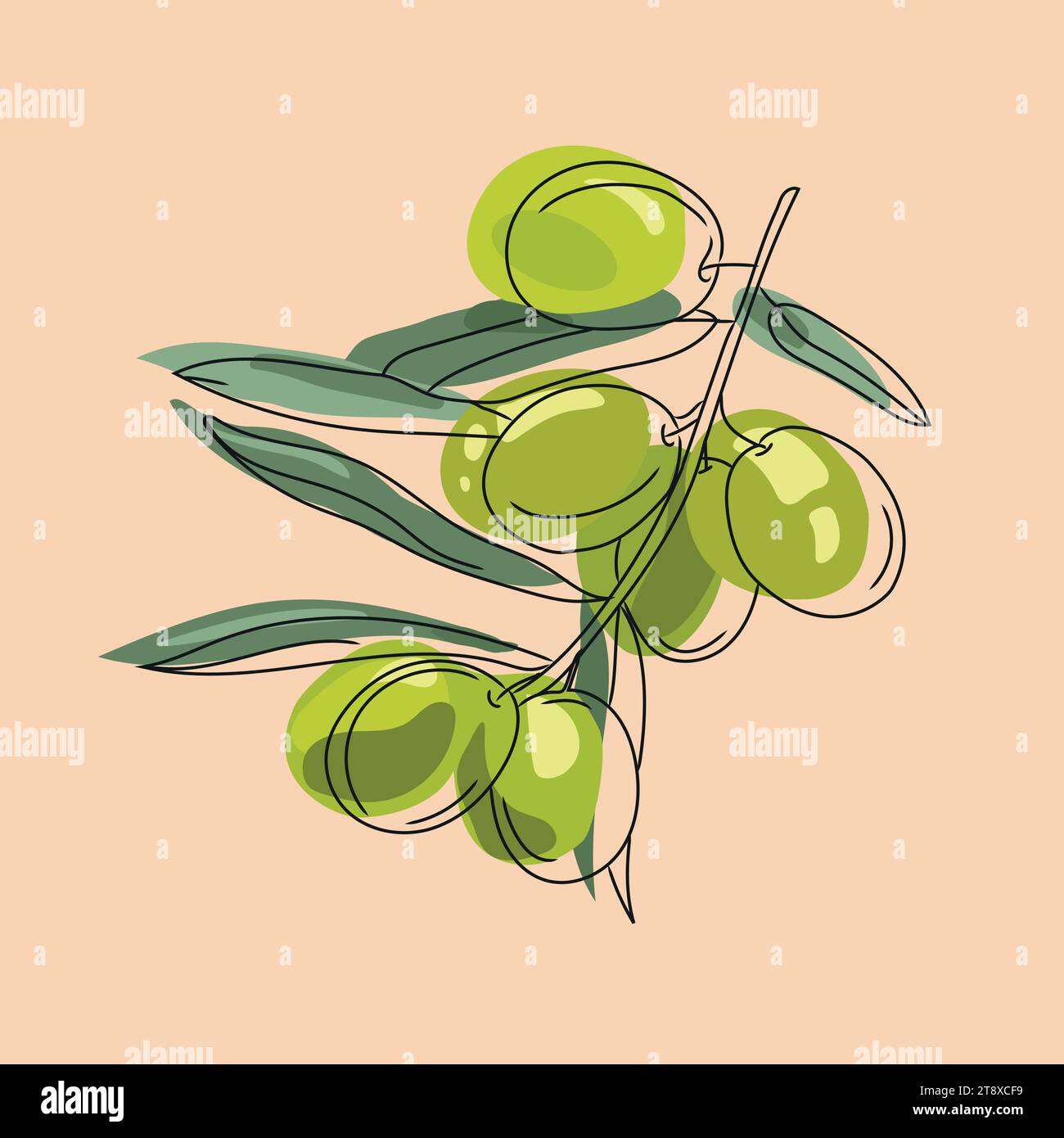 Branche d'olivier vert dans un style moderne sur fond pastel graphique vectoriel.modèle d'icône vectorielle isolée. modèle de conception. Légume biologique frais. Illustration de Vecteur