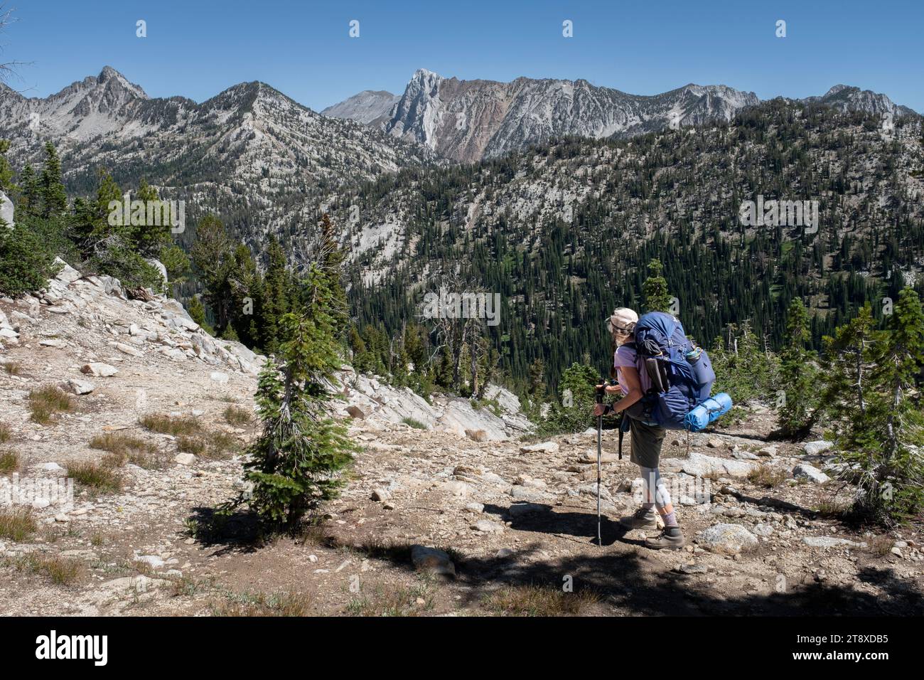 OR02668-00....OREGON - une femme en randonnée sur le sentier Hurricane s'arrête pour regarder Matterhorn Peak, Eagle Cap Wilderness, Wallowa-Whitman National Fore Banque D'Images