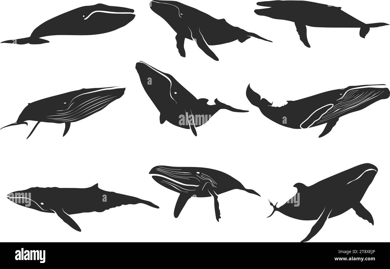 Silhouette de baleine bleue, silhouette de baleine, ensemble d'icônes de baleine bleue, clipart de baleine Illustration de Vecteur