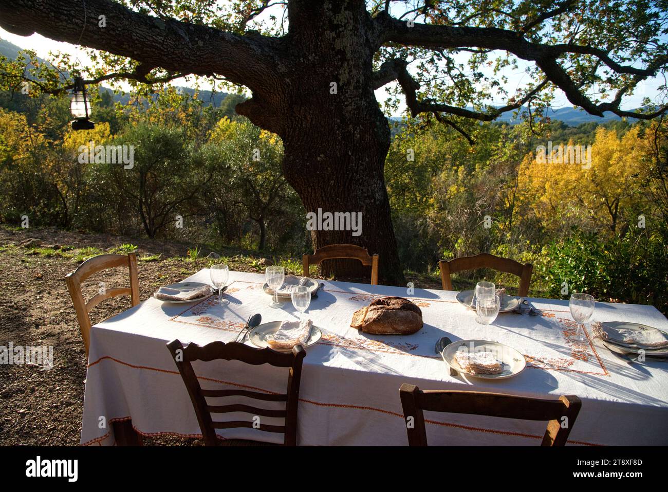 une table à manger habillée, avec assiettes, couverts verres et miche de pain, sur une terrasse à l'heure du souper, avec en arrière plan les collines Banque D'Images