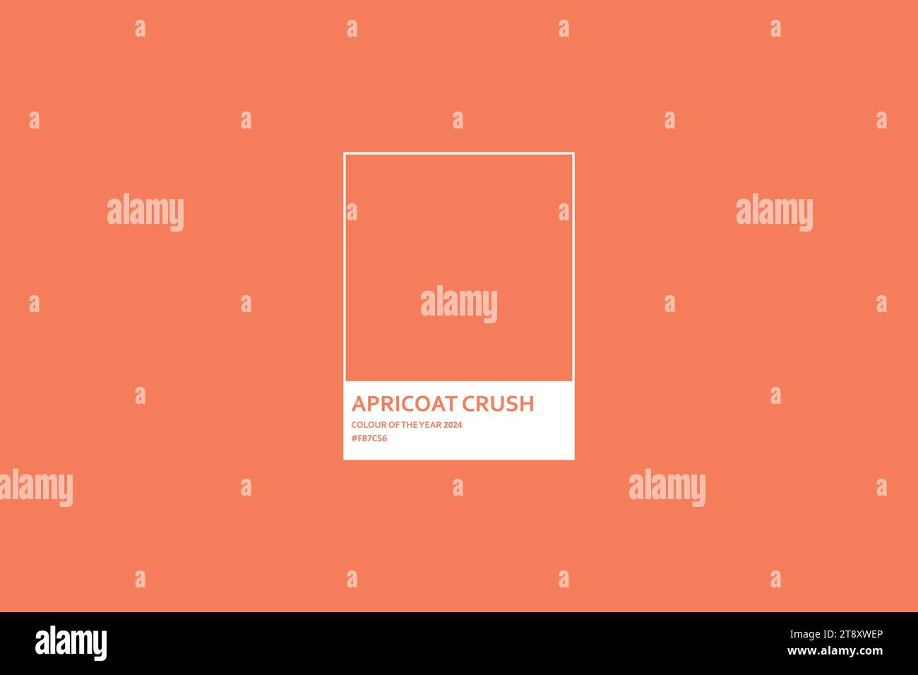 Apricoat Crush couleur texture ou couleur du 2024. Illustration de Vecteur