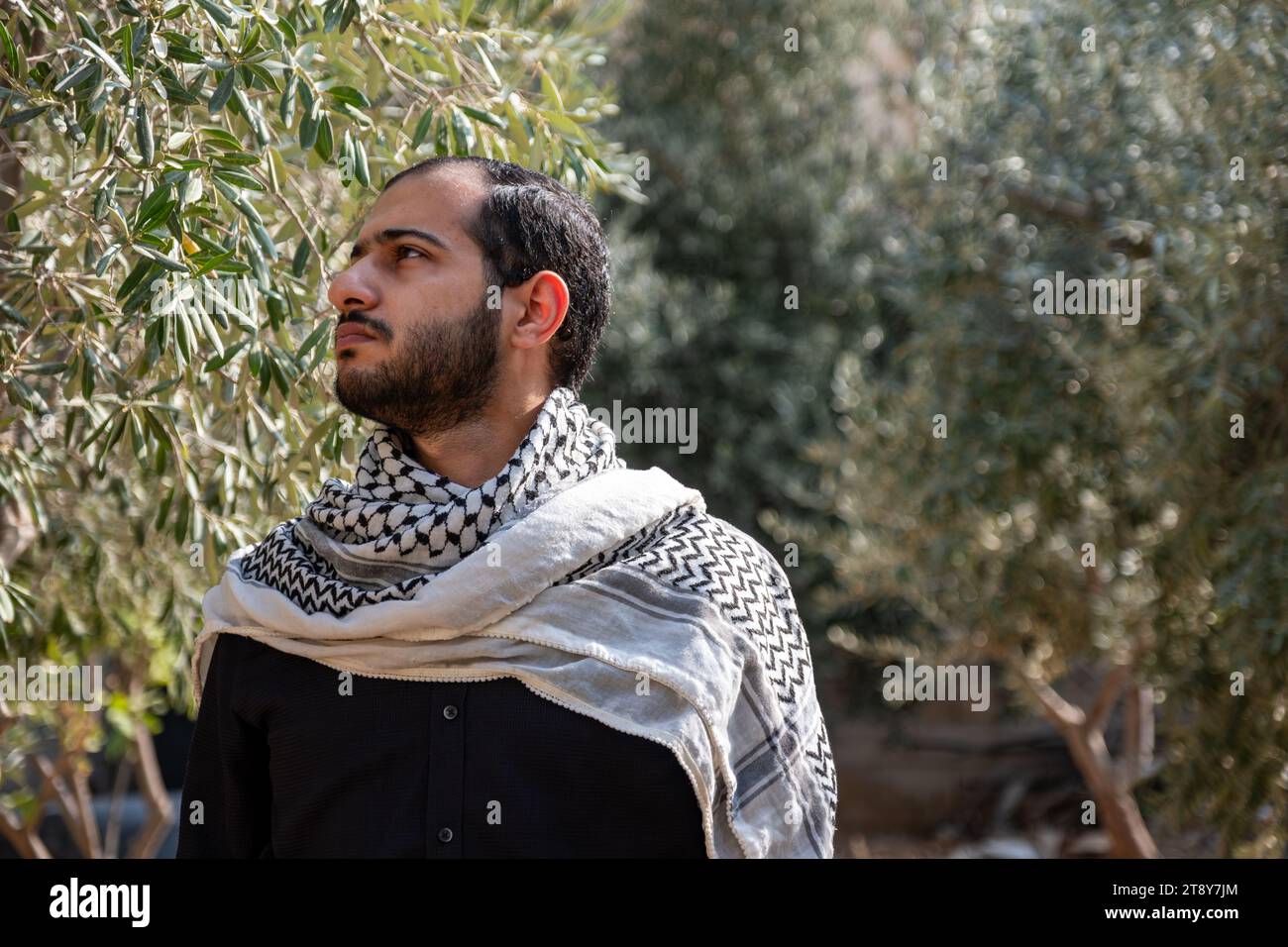 portrait pour homme portant keffiyeh dans le champ d'oliviers avec fond noir et chemises noires également avec expression faciale en colère Banque D'Images