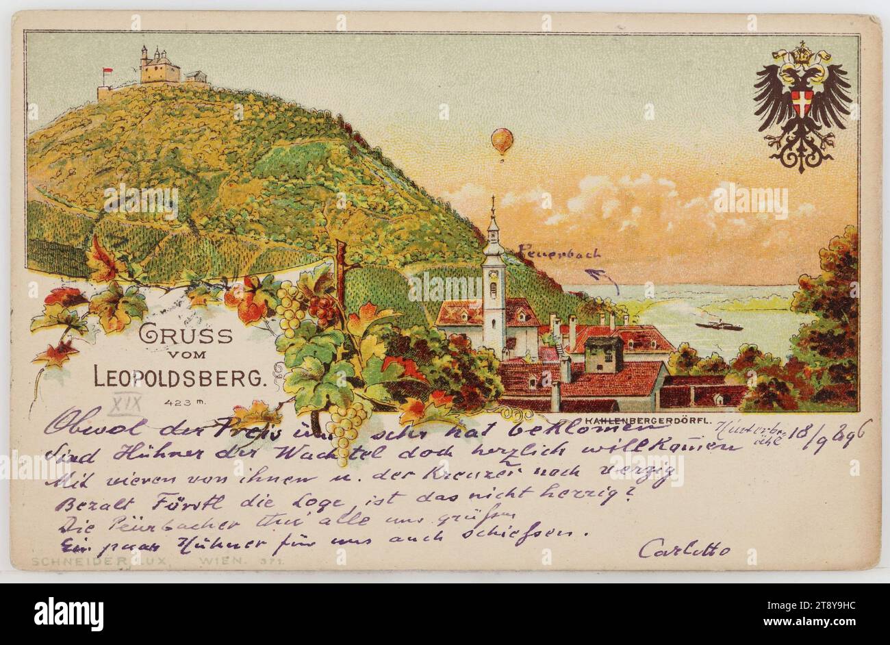 19e, Kahlenbergerdorf - vue contre Leopoldsberg, carte postale, Schneider & Lux, producteur, 1896, carton, lithographie couleur, inscription, DE, Vienne, À, Peuerbach, ADRESSE, à M. Hofsecr, à Peuerbach, Ober [trois fois souligné] Oesterreich, MESSAGE, Obwol der Preis uns sehr beklommen Hat, Sind Hühner der Wachtel doch herzlich willkommen, mit vieren von ihnen U. The Kreuzer Still verzig, Bezalt Fürstl die Loge, ist das nicht herzig? Les peurbacheurs nous saluent tous, tirent quelques poulets pour nous aussi, Carlotto, [une flèche tracée montre le chemin vers Peuerbach], [à côté de la date 18 Banque D'Images