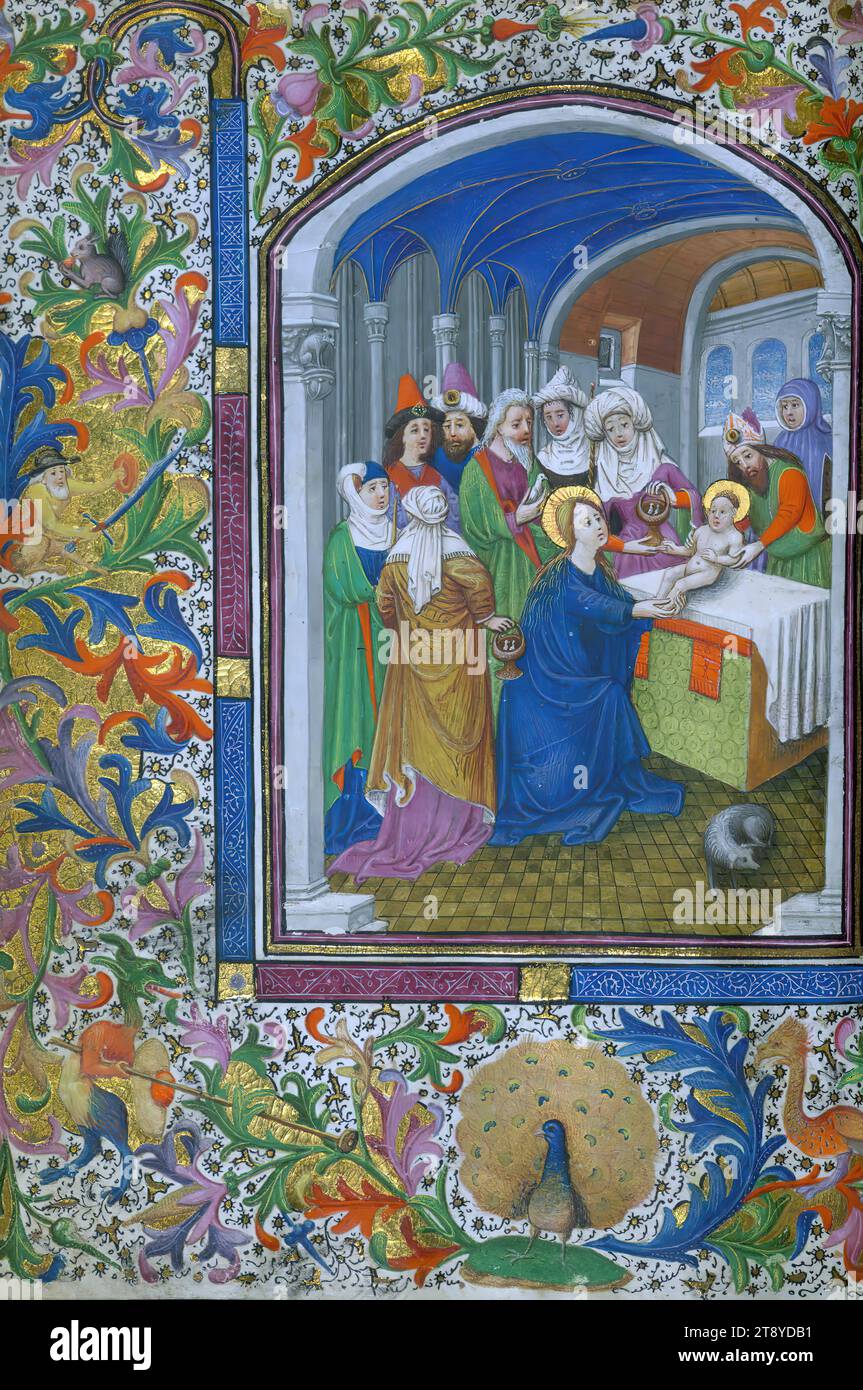 Livre d'heures (utilisation de Rome), Présentation dans le Temple, ce livre d'heures a été produit à Bruges ca. 1440-50. Bien qu'il soit mal lié et manque plusieurs illuminations, celles qui survivent révèlent une collaboration frappante d'artistes espagnols et d'un groupe d'illuminateurs du sud des pays-Bas connus maintenant sous le nom de Masters of the Gold Scrolls Banque D'Images