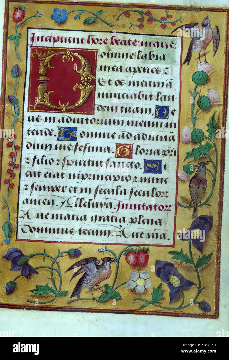 Livre d'heures de la famille de la porte, initial 'd' (domine), ce ...