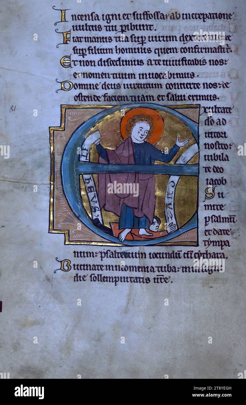 Touke Psautier, initial 'E' avec Saint Matthieu piétinant Zaro, ce psautier du XIIIe siècle a été fabriqué à Bruges pour une patronne. Des vignettes animées remplissent le calendrier, tandis que de grandes initiales historiées de saints piétinant leurs oppresseurs introduisent les psaumes liturgiques. Les tableaux de Pâques ajoutés, ainsi que les inscriptions de naissance et de décès dans le calendrier, attestent de la présence du manuscrit en Angleterre au XVe siècle où il a été largement utilisé par les générations de la famille Touke Banque D'Images