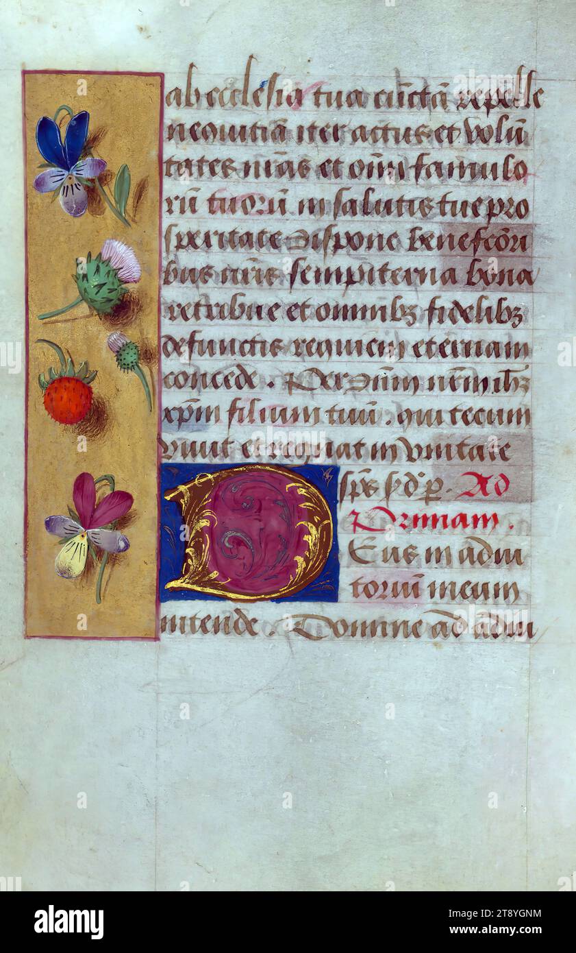 Folio 49v, réalisé au XVe siècle, et rebondi un peu plus tard, la façon dont ce petit livre d’heures apparaît dans le présent ne serait peut-être pas différente de la façon dont le spectateur du XVIe siècle le voyait. À cette époque, le précieux textile de velours rouge brodé de soie et d'argent, a été ajouté au manuscrit probablement en Belgique ou en Angleterre. Le livre a été réalisé en Flandre vers 1480-1490, et était probablement destiné à Cambrai, comme l'indique la sélection des saints dans le calendrier Banque D'Images