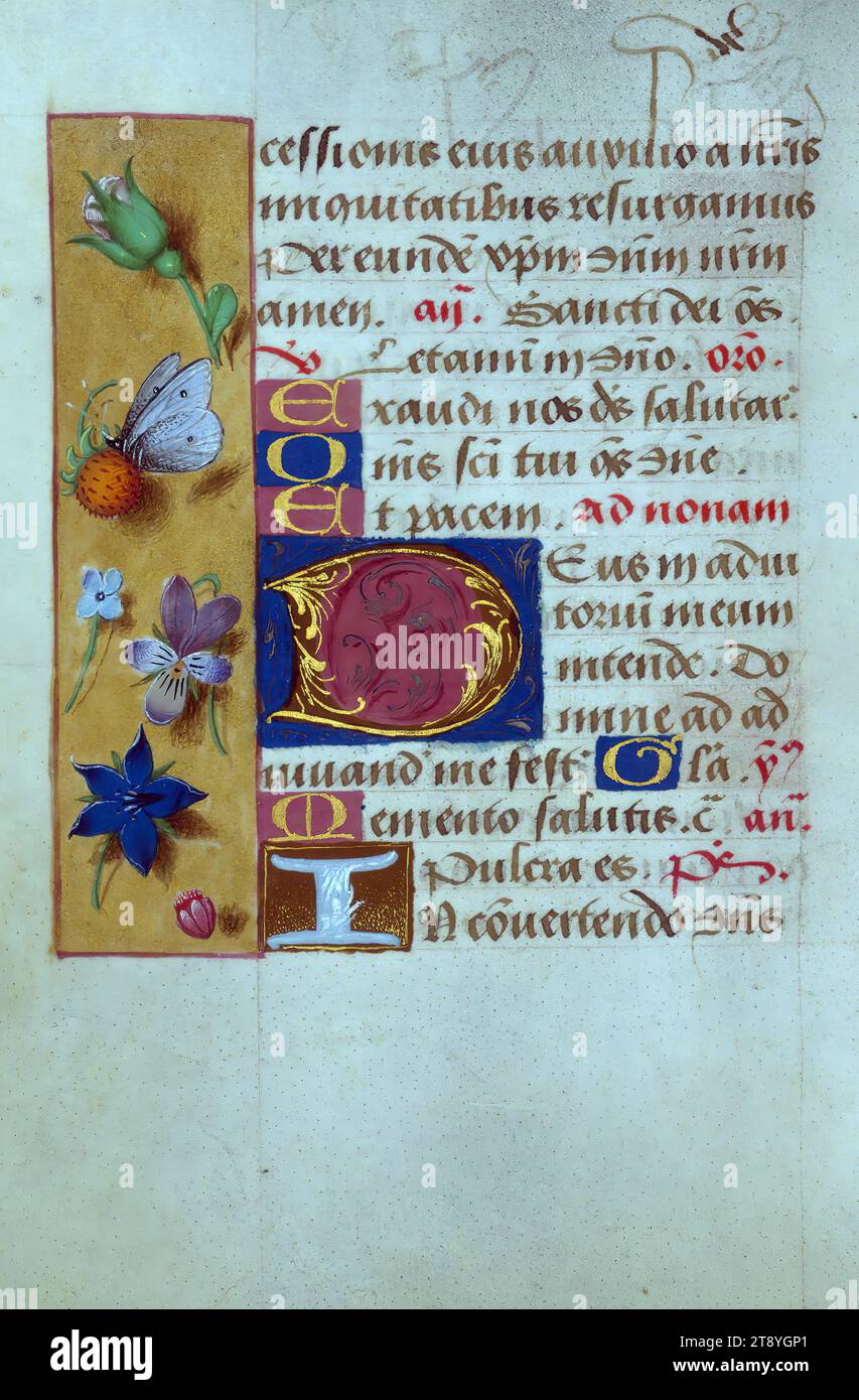 Folio 58v, réalisé au XVe siècle, et rebondi un peu plus tard, la façon dont ce petit livre d’heures apparaît dans le présent ne serait peut-être pas différente de la façon dont le spectateur du XVIe siècle le voyait. À cette époque, le précieux textile de velours rouge brodé de soie et d'argent, a été ajouté au manuscrit probablement en Belgique ou en Angleterre. Le livre a été réalisé en Flandre vers 1480-1490, et était probablement destiné à Cambrai, comme l'indique la sélection des saints dans le calendrier Banque D'Images
