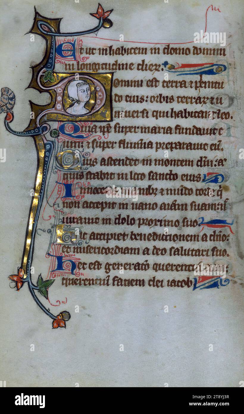 Psautier, Marginalia, ce charmant mais fragmentaire et mal lié psautier a été créé en Flandre française pour une dame dans les premières décennies du XIVe siècle. Les figures du manuscrit sont stylistiquement liées à celles trouvées à Gand (diocèse de Tournai Banque D'Images