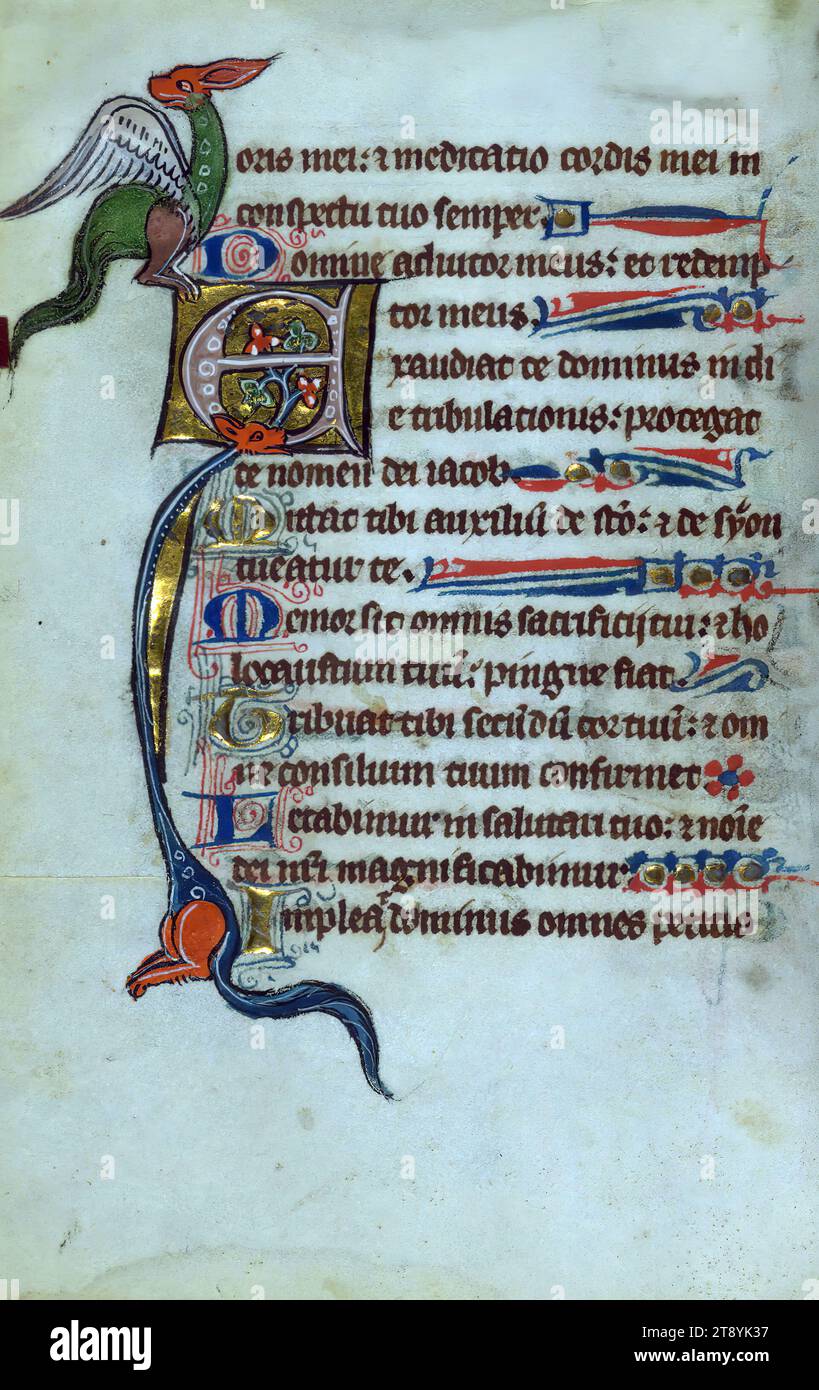 Psautier, Marginalia, ce charmant mais fragmentaire et mal lié psautier a été créé en Flandre française pour une dame dans les premières décennies du XIVe siècle. Les figures du manuscrit sont stylistiquement liées à celles trouvées à Gand (diocèse de Tournai Banque D'Images
