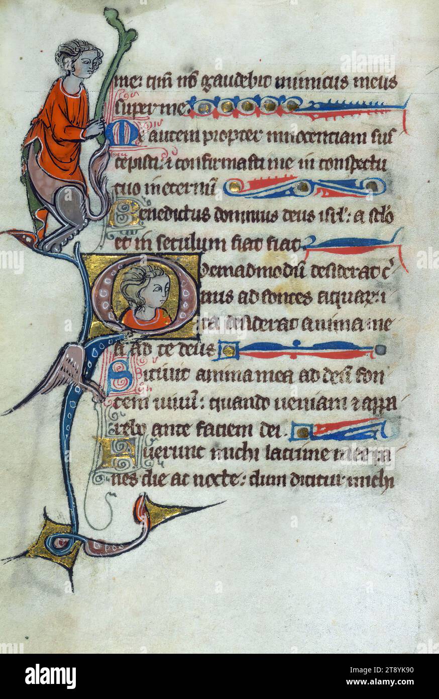 Psautier, Marginalia, ce charmant mais fragmentaire et mal lié psautier a été créé en Flandre française pour une dame dans les premières décennies du XIVe siècle. Les figures du manuscrit sont stylistiquement liées à celles trouvées à Gand (diocèse de Tournai Banque D'Images