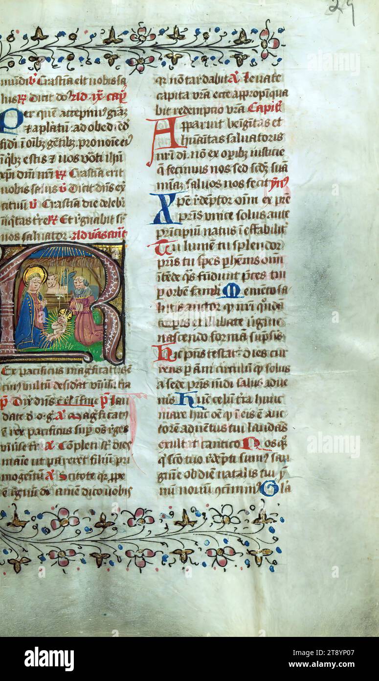 Codex arras Banque de photographies et d’images à haute résolution - Alamy