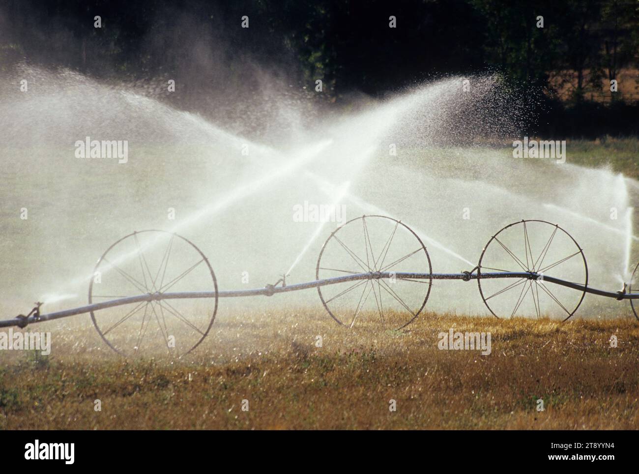 Arroseurs d'irrigation, Myrtle Creek Canyonville Scenic Historic Tour route, comté de Douglas, Oregon Banque D'Images