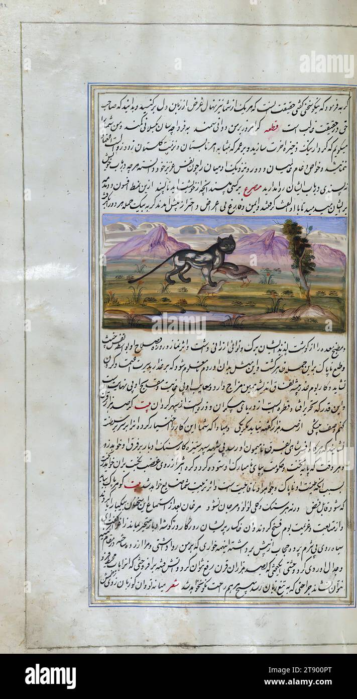 Les lumières de Canopus, un vieux chat tue une perdrix et une caille, il s'agit d'une copie illuminée et illustrée de Anvār-i Suhaylī (les lumières de Canopus), datant du XIIIe siècle AH / XIXème EC. C'est une version persane de Kalīlah wa-Dimnah (les fables de Bīdpāy). Il a été achevé le 26 Jumādá I 1264 AH / 1847 ce par Mīrzā Raḥīm. Le texte est écrit en écriture nastaʿliq à l'encre noire et rouge, révélant l'influence de l'écriture shikastah. Il y a 123 tableaux illustrant le texte. La reliure Qajar est originale du manuscrit Banque D'Images