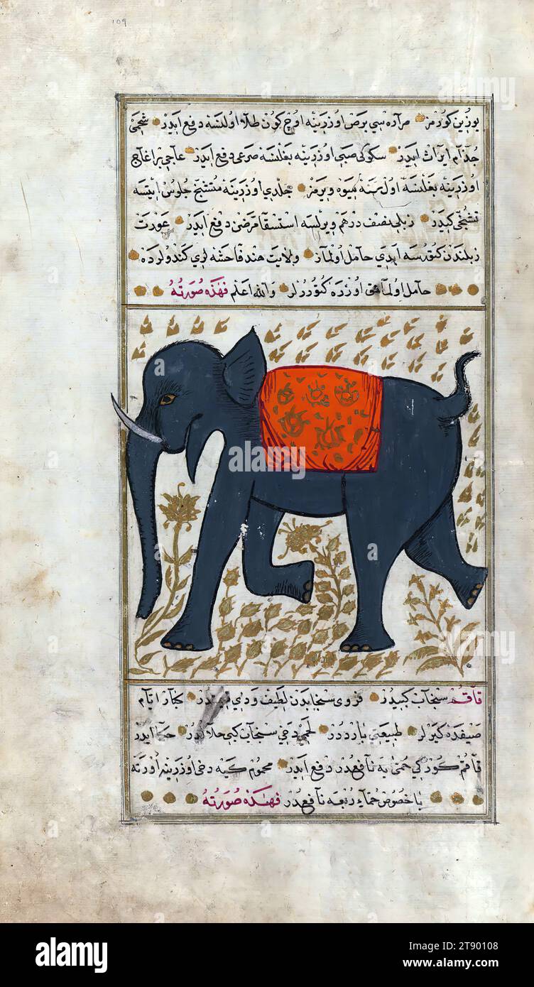 Version turque des Merveilles de la création, un éléphant, il s'agit d'une version turque ottomane illuminée et illustrée de ʿAjāʾib al-makhlūqāt (Merveilles de la création) par Zakarīyā al-Qazwīnī (d. 692 AH / 1293 EC), faite à la demande du vizir Murtaza Paşa (Murtaḍá Pāshā) (fl. onzième siècle AH / dix-septième ce). Le codex a été achevé en 1121 AH / 1717 EC par Muḥammad ibn Muḥammad Shākir Rūzmah-ʾi Nāthānī. Il y a 444 tableaux illustrant le texte. La reliure n'est pas originale du manuscrit Banque D'Images