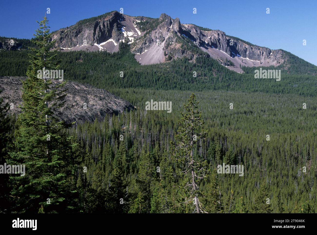 Paulina Peak depuis Little Crater Trail, Newberry National Volcanic Monument, Oregon Banque D'Images