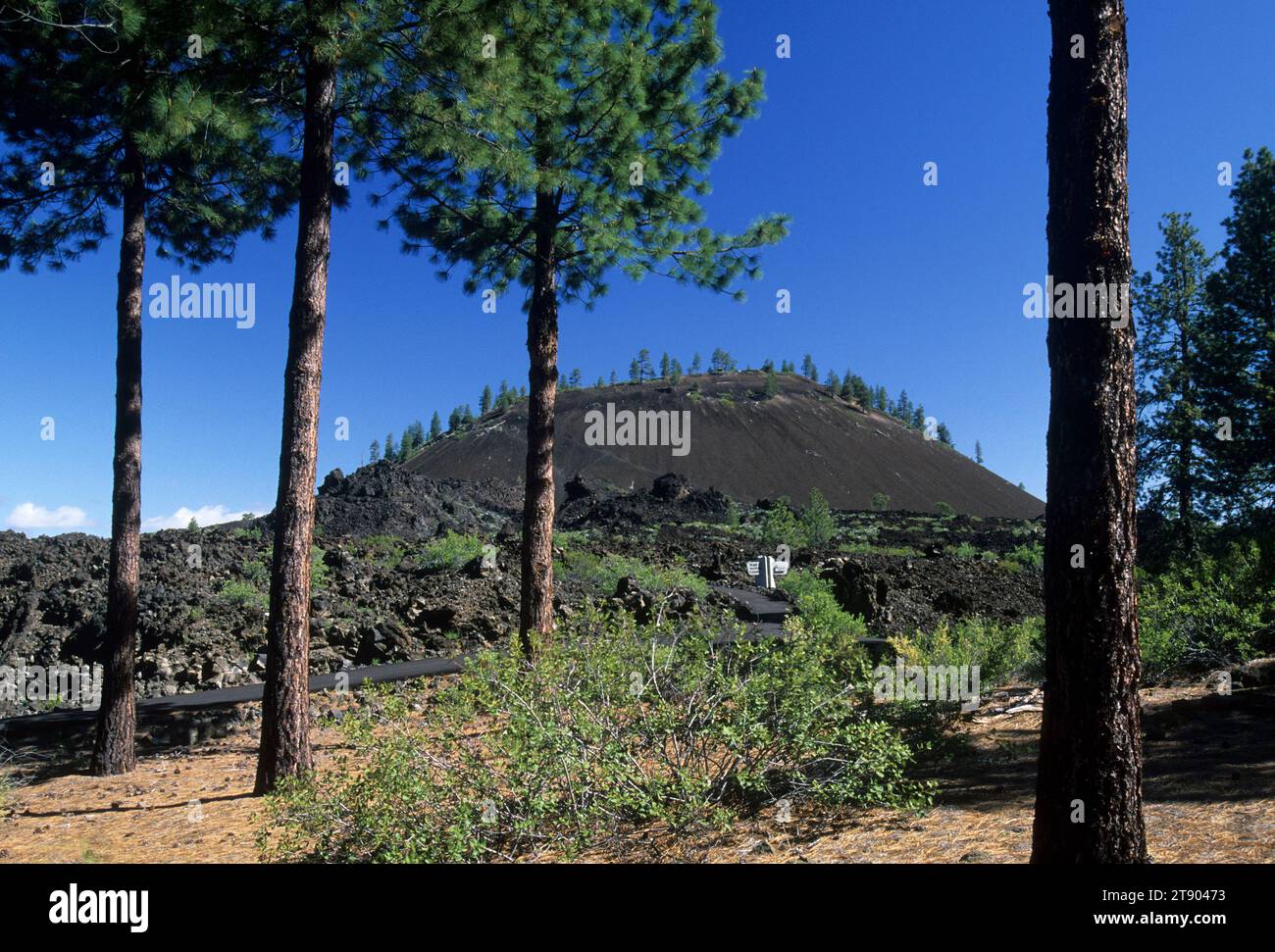 Lava Butte, Newberry National Volcanic Monument, Oregon Banque D'Images