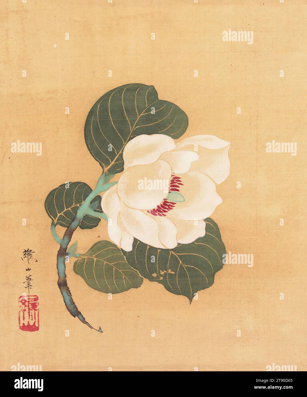 Camellia japonica, première moitié du 19e siècle, Nonoyama Kōzan, japonais, 1780 - 1847, 7 9/16 × 6 1/4 po. (19,21 × 15,88 cm) (image)42 9/16 × 12 5/16 po (108,11 × 31,27 cm) (monture, sans rouleau), encre et couleur sur soie, Japon, 19e siècle Banque D'Images