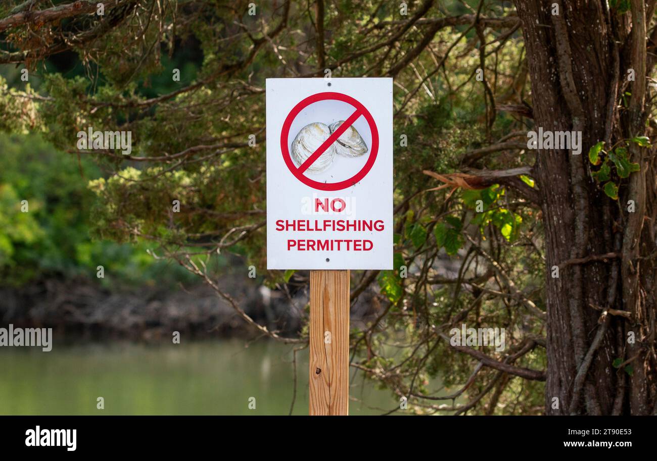 Un panneau pas de pêche aux coquillages devant un plan d'eau. Banque D'Images