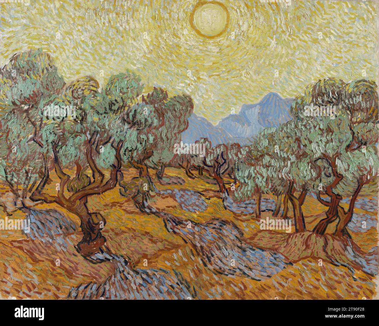 Oliviers, 1889, Vincent van Gogh, Néerlandais, 1853 - 1890, 29 x 36 1/2 po (73,66 x 92,71 cm) (toile)39 3/4 x 47 x 3 1/2 po (100,97 x 119,38 x 8,89 cm) (cadre extérieur)28 1/2 x 36 po (72,39 x 91,44 cm) (vue), huile sur toile, pays-Bas, 19e siècle, c'est l'une des quinze toiles d'oliviers que van Gogh a exécutées entre juin et décembre 1889. Plus tôt cette année-là, il s’était interné à l’asile de St-Paul, dans la ville de St-Rémy, dans le sud de la France, où il créerait ses œuvres les plus profondes. Les oranges et les jaunes vibrants suggèrent que l'image date des mois d'automne Banque D'Images