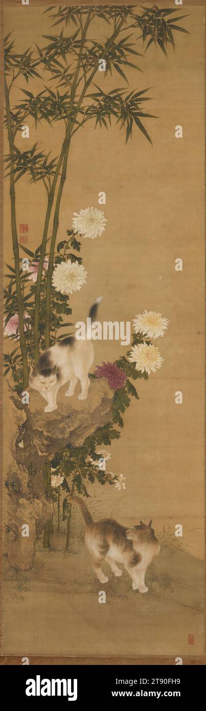 Chats de Bamboo and Chrysanthemums, 18e siècle, Shin Sen, 57 7/8 × 18 po. (147 × 45,72 cm) (image)78 1/2 × 19 po (199,39 × 48,26 cm) (monture, sans rouleau), encre et couleur sur papier, Japon, 18e siècle, Shen Quan, également connu sous le nom de Shen Nanpin, déménage de sa Chine natale à Nagasaki, à l'extrême ouest du Japon, en 1731. Bien qu'il ne reste que quelques années à Nagasaki, il gagne de nombreux adeptes à qui il enseigne les méthodes traditionnelles de peinture chinoise. Il s'est concentré sur la représentation réaliste des oiseaux et des fleurs. Les disciples japonais de Shen sont venus à être connus comme l'école de Nagasaki Banque D'Images