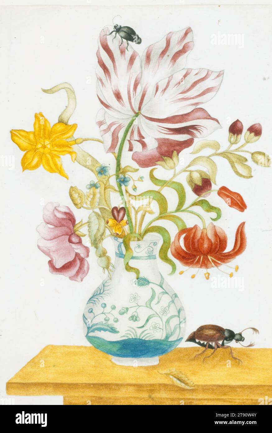Tulipe, lys, rose, etc. En vase, avec insectes, 17e siècle, École de Maria Sibylla Merian, allemand, 1647-1717, 12 3/4 x 8 3/4 po. (32,39 x 22,23 cm) (image)13 1/16 x 9 1/8 pouces (33,18 x 23,18 cm) (feuille), Aquarelle sur papier, pays-Bas (?), 17e siècle, Art et science se mélangent harmonieusement dans l'œuvre de Maria Sibylla Merian. L'une des entomologistes et botanistes les plus importants de son temps, elle voyage en Amérique du Sud en 1699 pour étudier, collecter et peindre des spécimens exotiques. Les représentations de Merian de papillons tropicaux, mites, chenilles et autres insectes ainsi que leurs fruits indigènes Banque D'Images