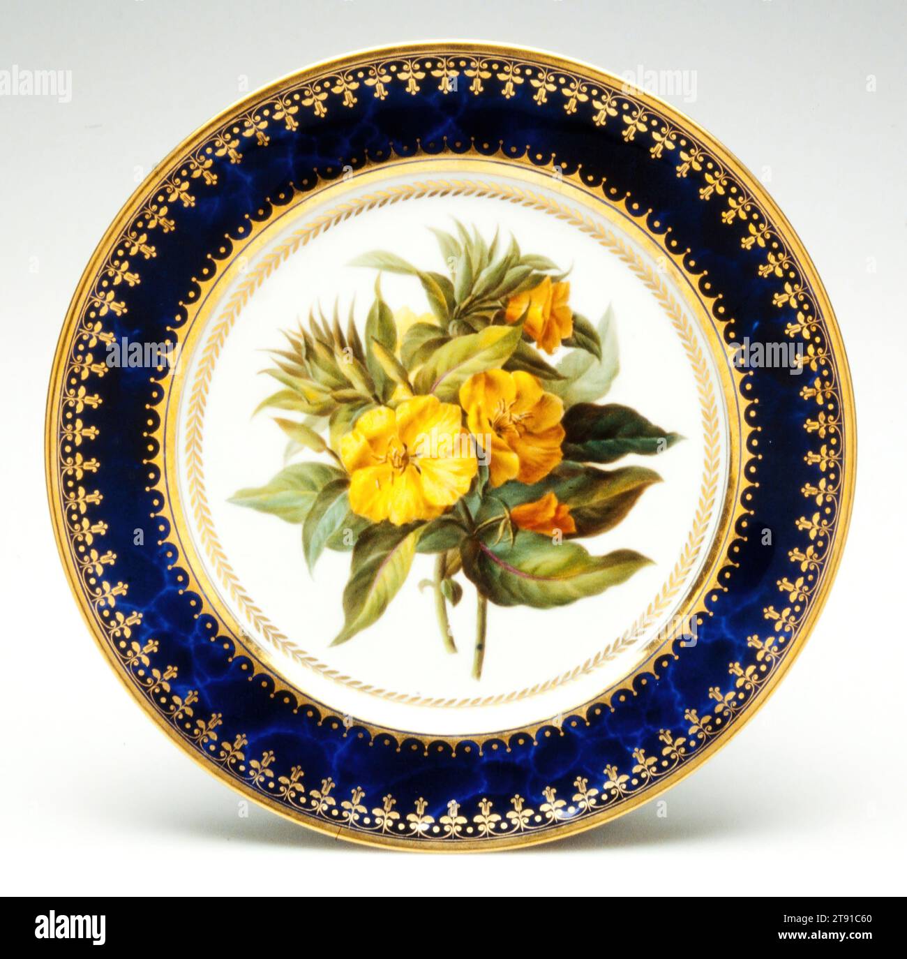 Botanical plate, 1832, fabrique de porcelaine de Sèvres, Paris, 1756–présent, 1 1/4 x 9 1/4 po (3,18 x 23,5 cm), porcelaine, doré, France, 19e siècle Banque D'Images