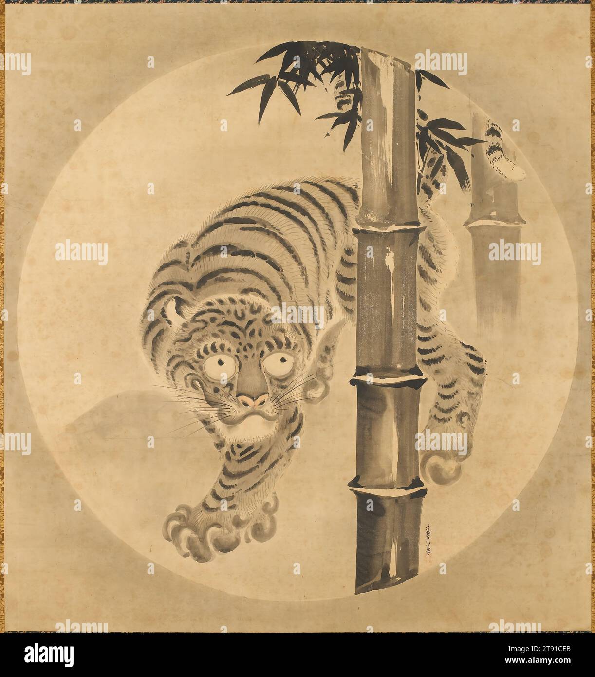 Tigre émergeant de bambou, début du 18e siècle, Kano Tsunenobu, Japonais, 1636 - 1713, 58 1/2 x 55 po (148,59 x 139,7 cm) (image)108 1/2 x 63 pouces (275,59 x 160,02 cm) (sans rouleau), rouleau suspendu ; encre et couleur sur papier, Japon, 18e siècle, les tigres comme sujet de peinture sont devenus populaires parmi les artistes japonais dès le 15e siècle lorsque des exemples chinois ont été apportés au Japon. Au sein des monastères zen, ils sont devenus des symboles de l'esprit terrestre et étaient souvent associés à des images de dragons, emblèmes de l'esprit éclairé en plein essor. Banque D'Images