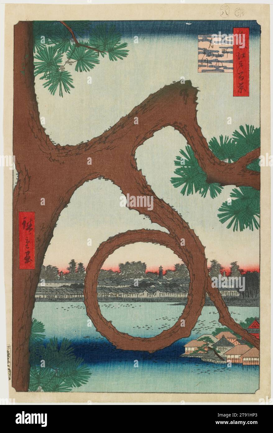 Moon Pine, Ueno, 1857, 8e mois, Utagawa Hiroshige; Editeur : Sakanaya Eikichi, Japonais, 1797 - 1858, 13 3/8 x 8 7/8 po. (33,9 x 22,5 cm) (image)14 3/16 x 9 5/16 po (36,1 × 23,7 cm) (feuille, verticale ōban)17 15/16 x 14 po. (45,5 x 35,5 cm) (mat), impression sur bois (nishiki-e) ; encre et couleur sur papier, Japon, 19e siècle Banque D'Images