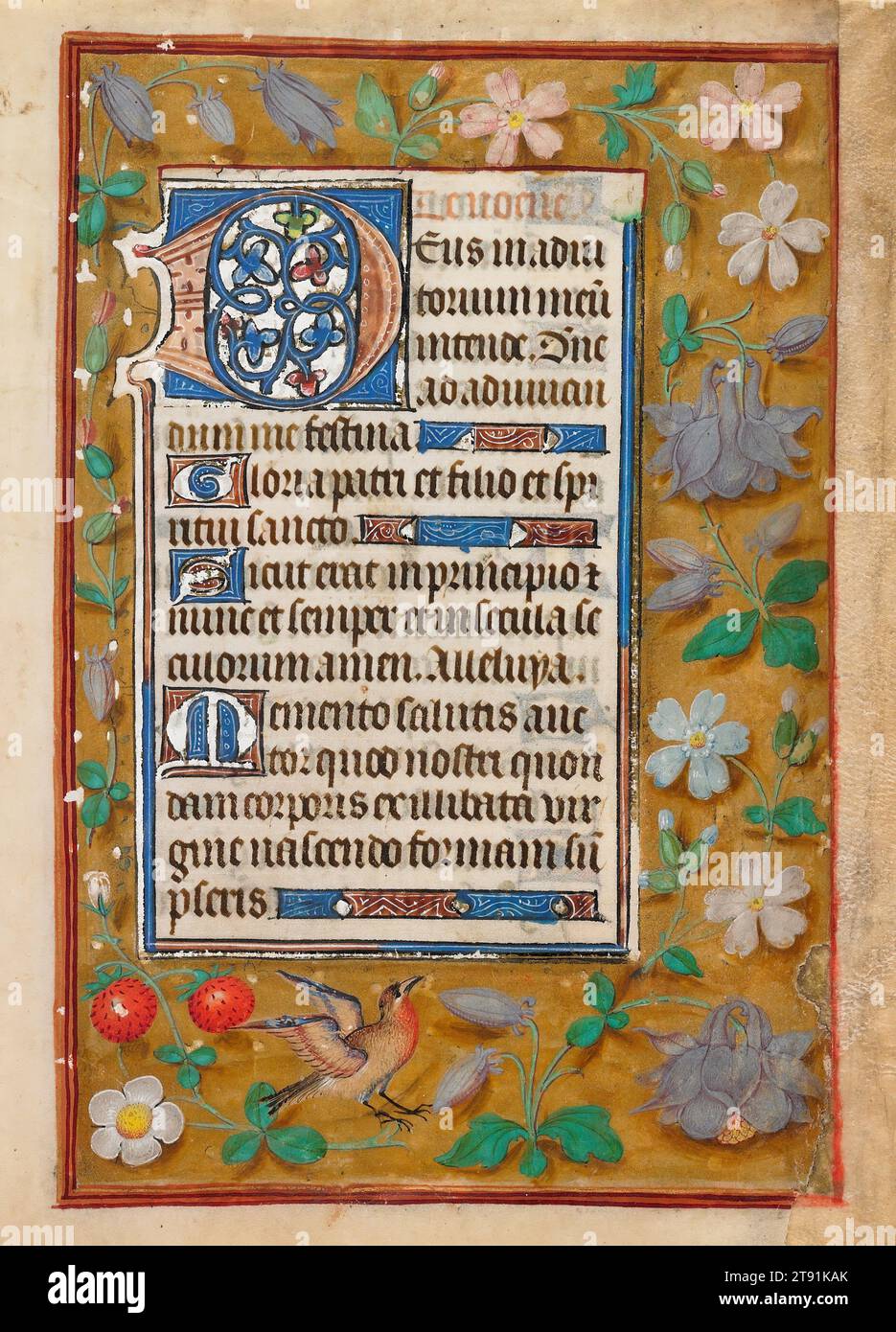 Feuille tirée d'un livre d'heures (recto et verso), c. 1500, Néerlandais inconnu, 6 3/16 x 4 9/16 po. (15,72 x 11,59 cm) (image), encre, gouache et or, pays-Bas / Flandre, 15e-16e siècle, les livres d'heures flamands étaient souvent décorés avec des bordures de plantes et d'animaux sur un fond doré. Ici, une grande partie de l'or utilisé pour embellir les lettres décorées a été gratté, exposant le blanc brillant du gesso utilisé pour sceller la surface poreuse du vélin avant la dorure Banque D'Images