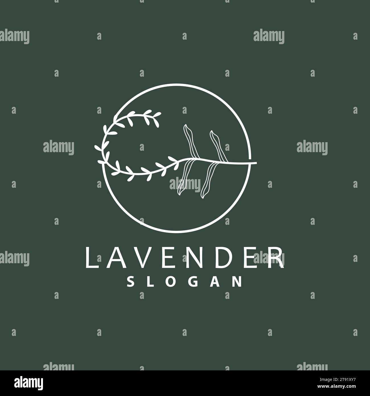 Logo de lavande, simple élégant vecteur de plante de fleur violette, conception de carte de voeux, bannière, ornement de fleur, mariage dessiné à la main de lavande, icône symbole Illu Illustration de Vecteur