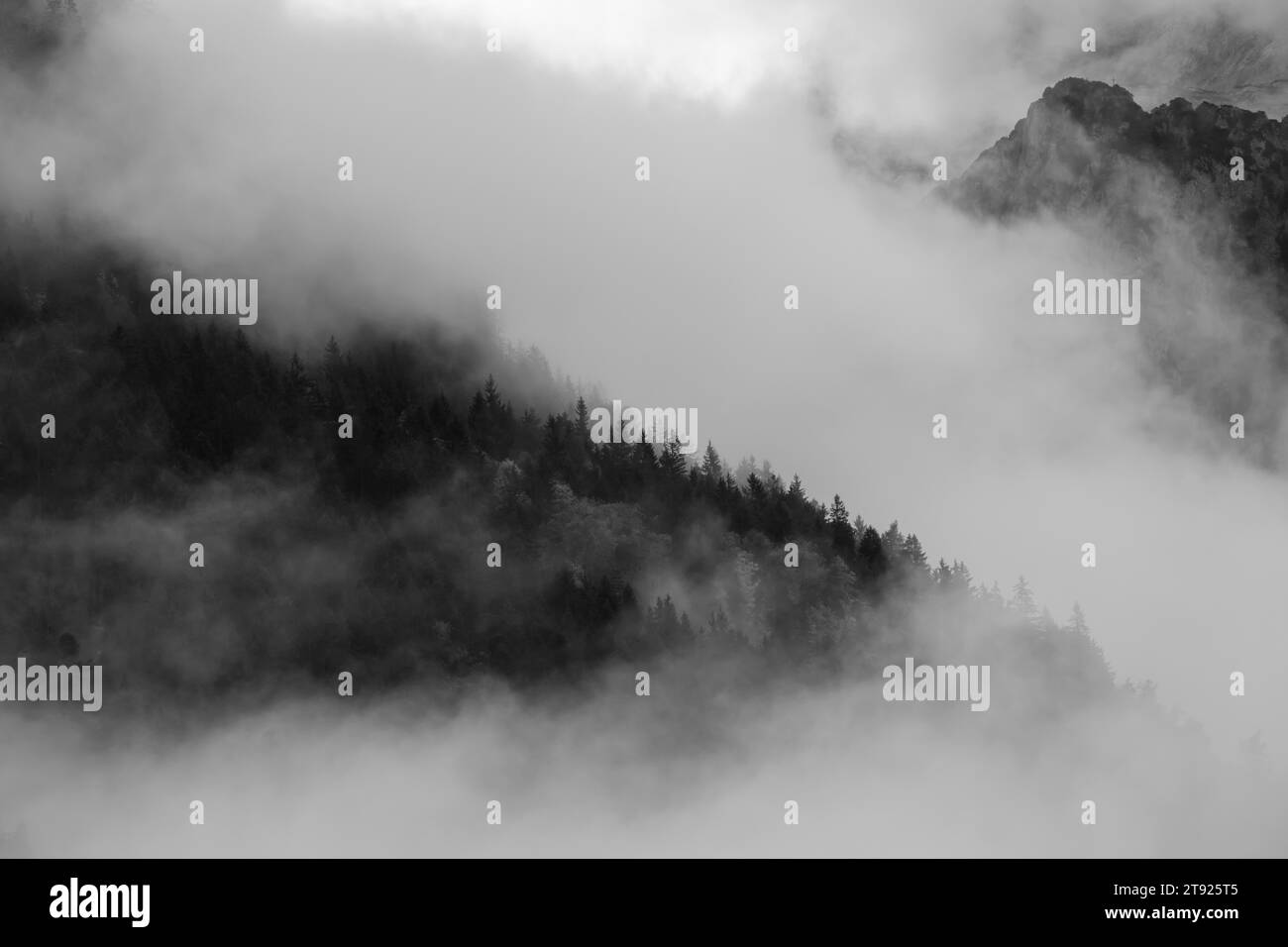 Brume à Koenigssee, parc national de Berchtesgaden, haute-Bavière, Bavière, Allemagne Banque D'Images