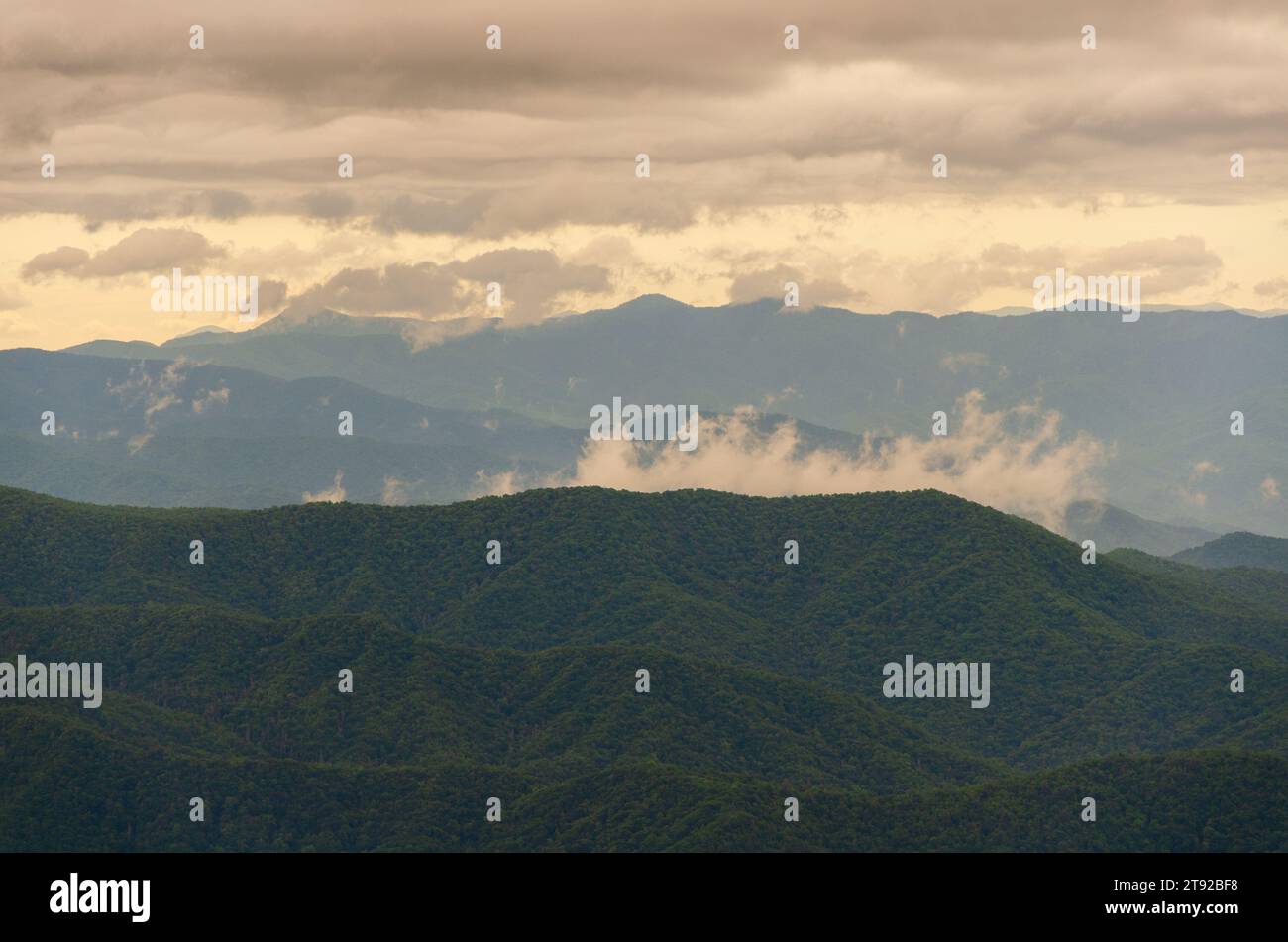 Surplombe le parc national des Great Smoky Mountains en Caroline du Nord par une journée de mauvaise humeur Banque D'Images