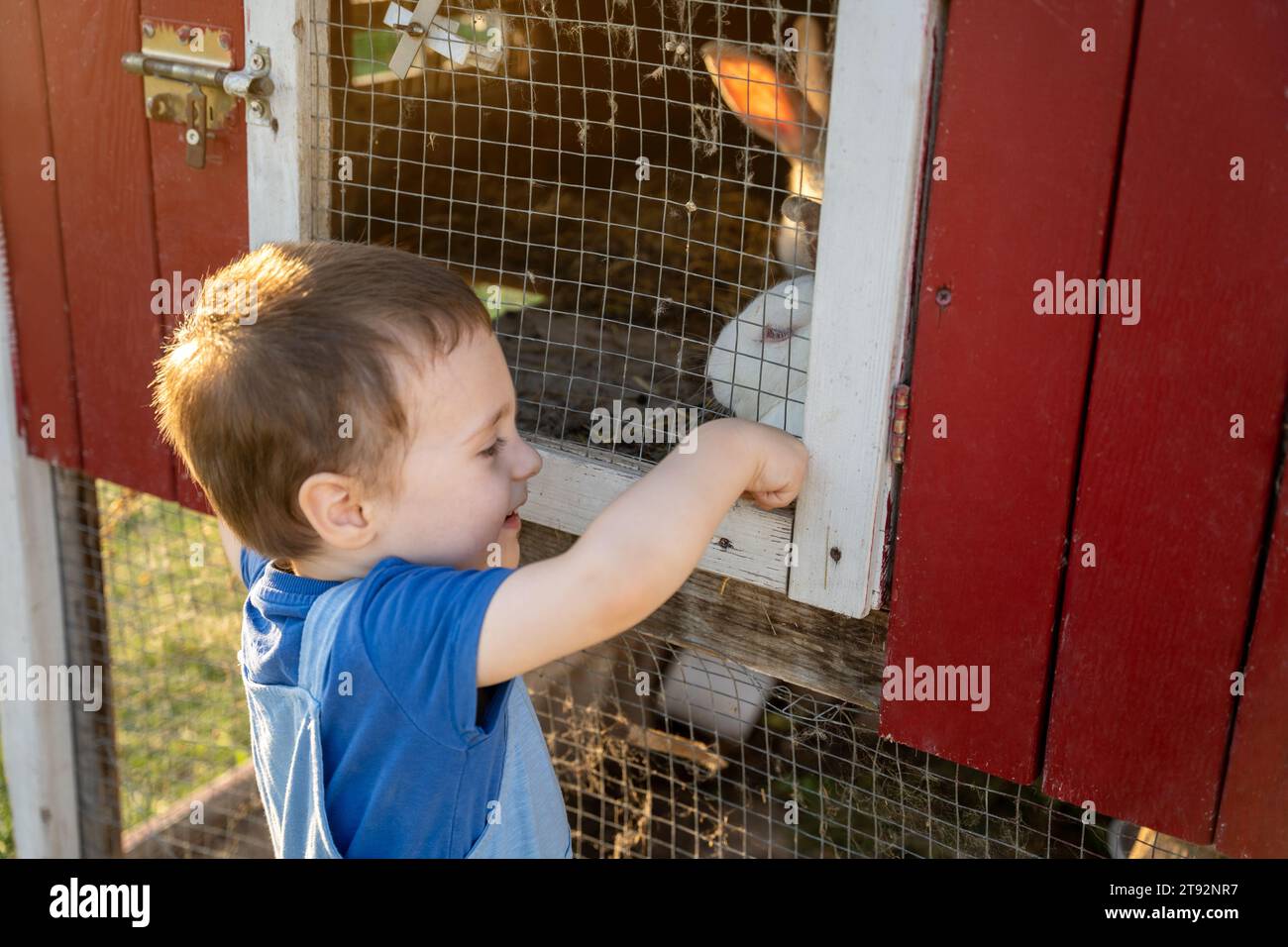 Joyeux garçon souriant Toddler joue avec un lapin blanc dans un zoo pour enfants par une journée d'été ensoleillée. Amitié avec l'animal. Concentrez-vous sur le lapin Banque D'Images