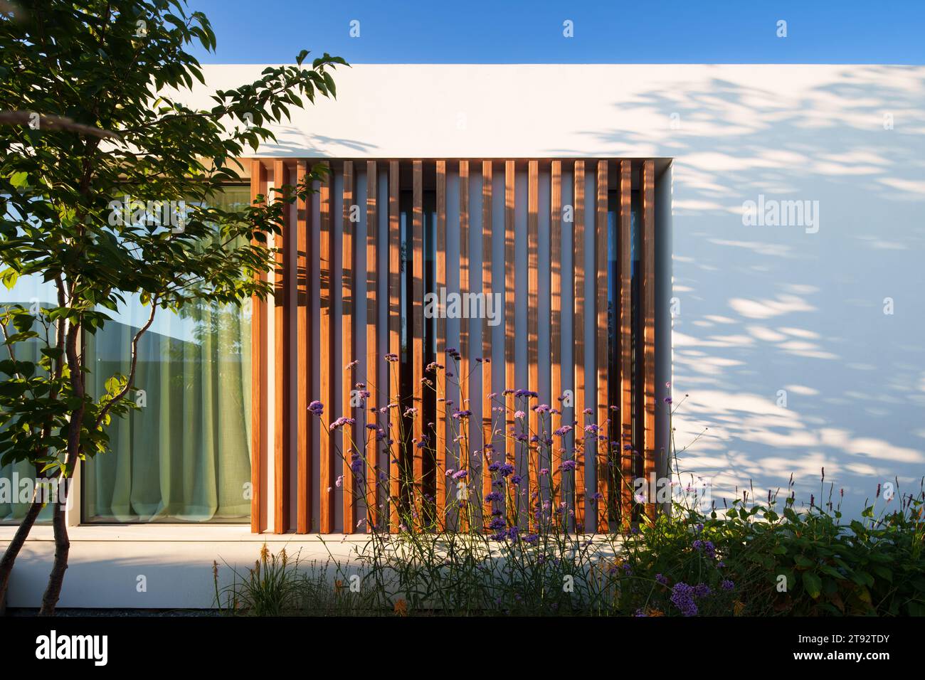 Une maison de luxe avec une piscine minimaliste et blanche et des jardins pourrait avoir un design contemporain et élégant Banque D'Images