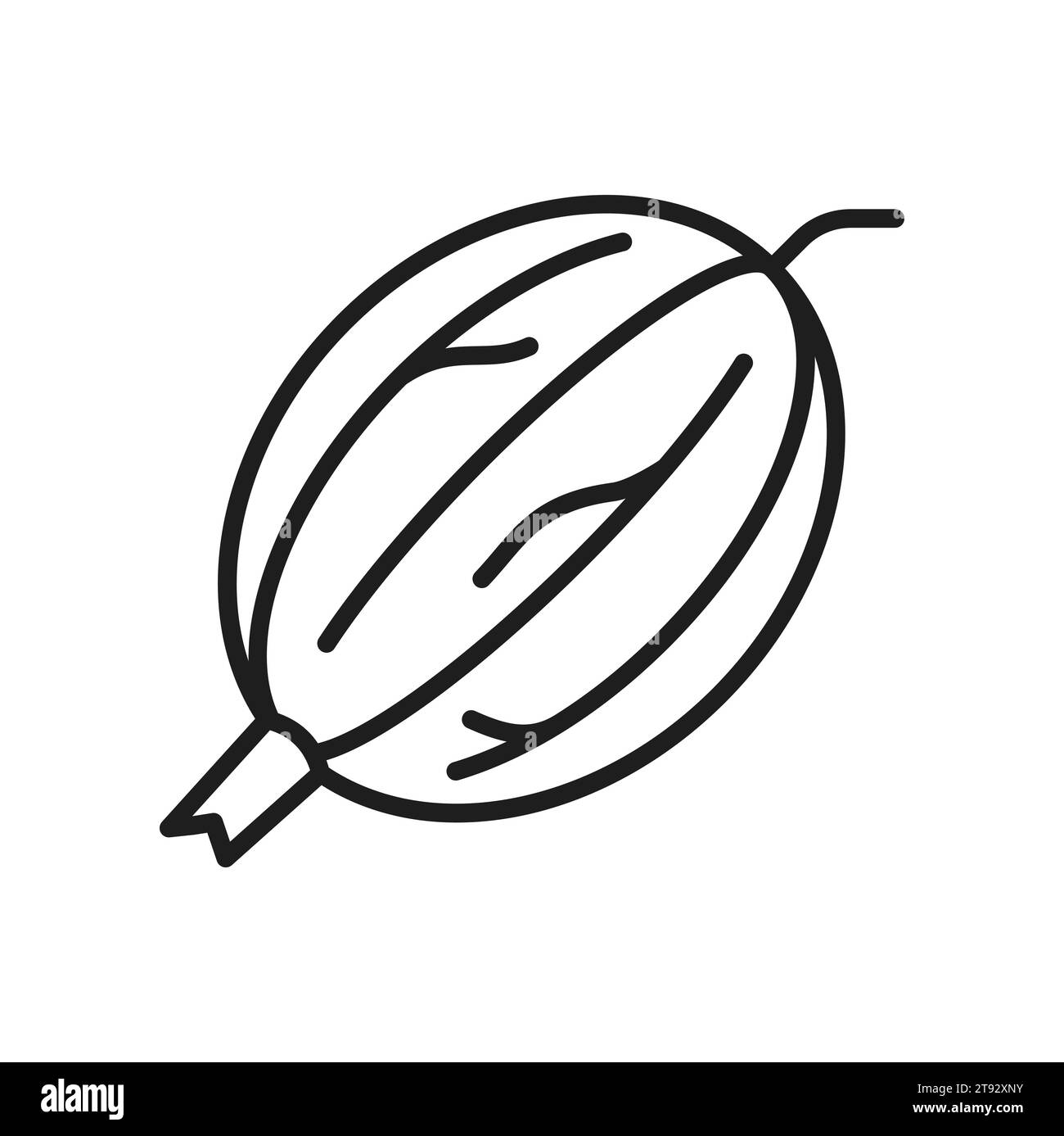 Icône de ligne fine de baies de groseille indienne isolée de baies d'amla. Vecteur contour mûr fruit organique malacca. Cosmétiques et plantes médicinales ayurvédiques Illustration de Vecteur