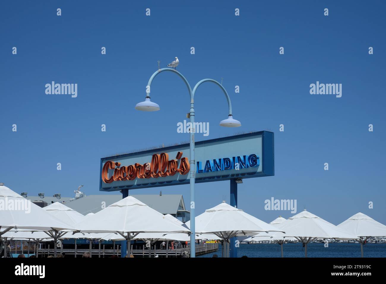 Une mouette sur une double arche deux lampadaires, signe du restaurant Cicerello's Landing, bleu avec éclaboussure de rouge contre un ciel bleu Fremantle, Australie Banque D'Images