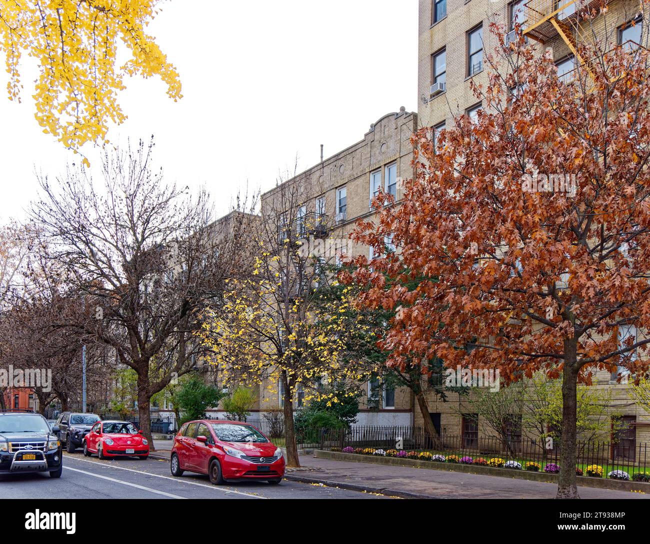 Le 1120 Bergen Street, dans le quartier historique de Crown Heights North, est un immeuble construit en 1925 en briques et calcaire conçu par Emery Roth. Banque D'Images