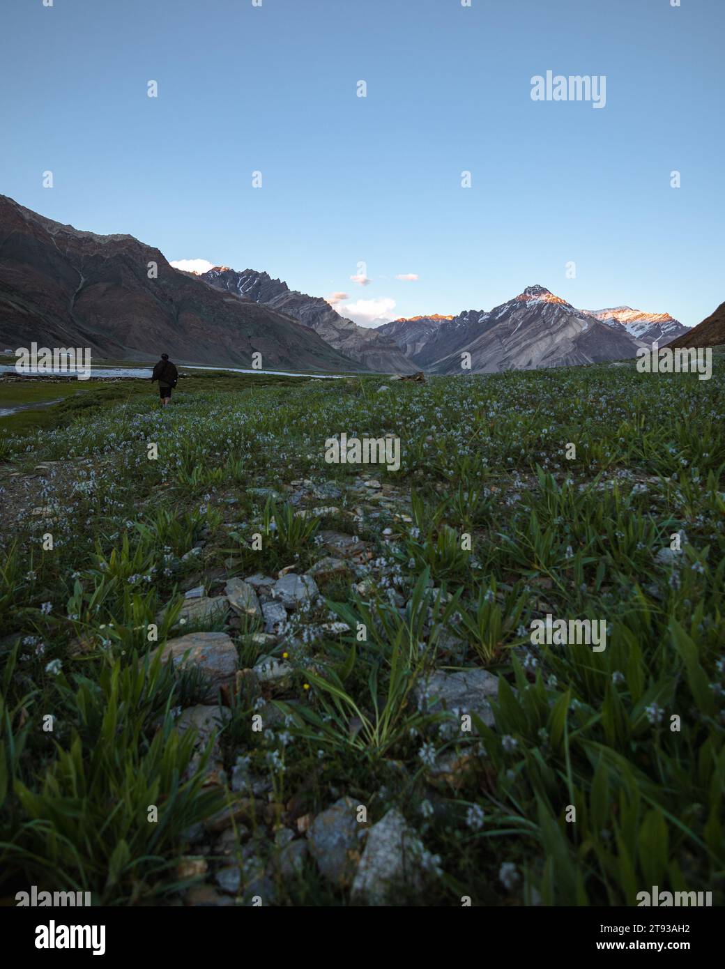 Les terrains accidentés du Ladakh, les sommets enneigés et les vallées vibrantes tissent une tapisserie envoûtante de himalyan Banque D'Images